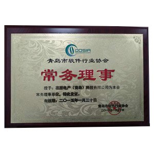 青島市軟件行業(yè)協(xié)會(huì)-常務(wù)理事（有效期2015年1月）